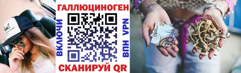 Галлюциногенные грибы Psilocybe Пучеж